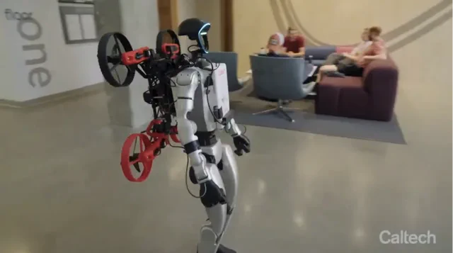 机器人协同:未来在于团队合作