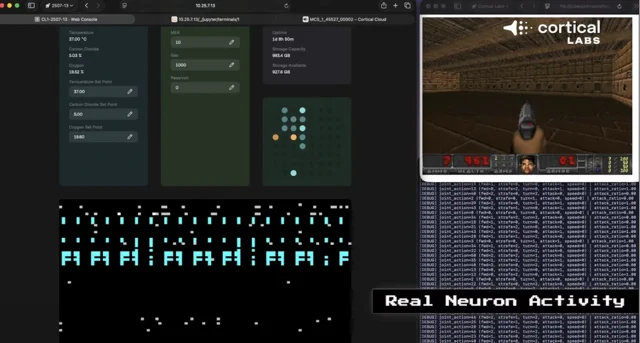 生物计算新突破：Cortical Labs 将精通《毁灭战士》的脑细胞接入 LLM