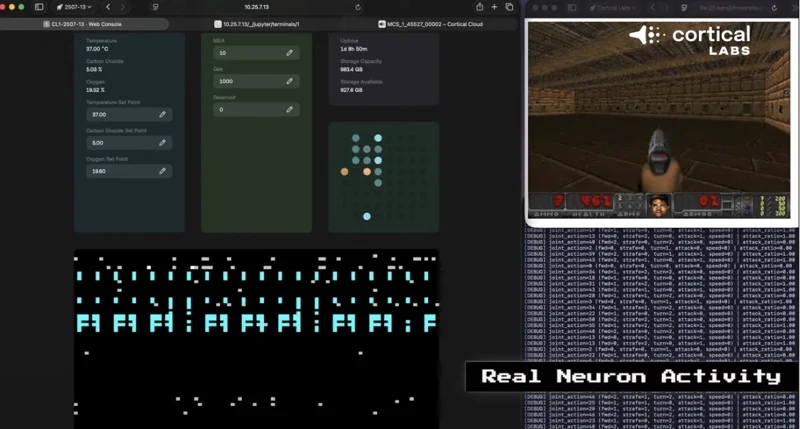 生物计算新突破:Cortical Labs 将精通《毁灭战士》的脑细胞接入 LLM