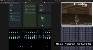 生物计算新突破：Cortical Labs 将精通《毁灭战士》的脑细胞接入 LLM