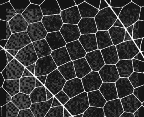 Anthropic 的 Glasswing 项目：在天网诞生前阻止它