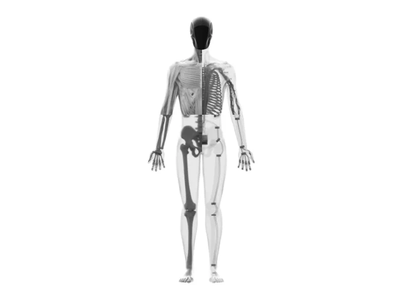 Clone Robotics:一步一步打造会出汗的机器人