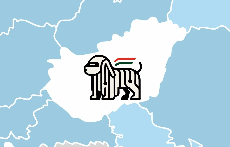 区域内的机器人协会