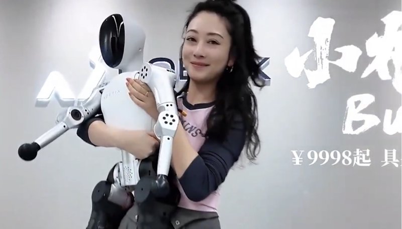 Noetix Bumi:1400美元的类人机器人朋友?