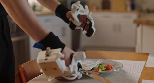 机器人训练的巨大分歧：人类教师 vs. YouTube 学习