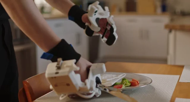 机器人训练的巨大分歧:人类教师 vs. YouTube 学习