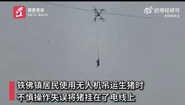 四川无人机空运活猪“翻车”：误撞电线导致全村停电10小时