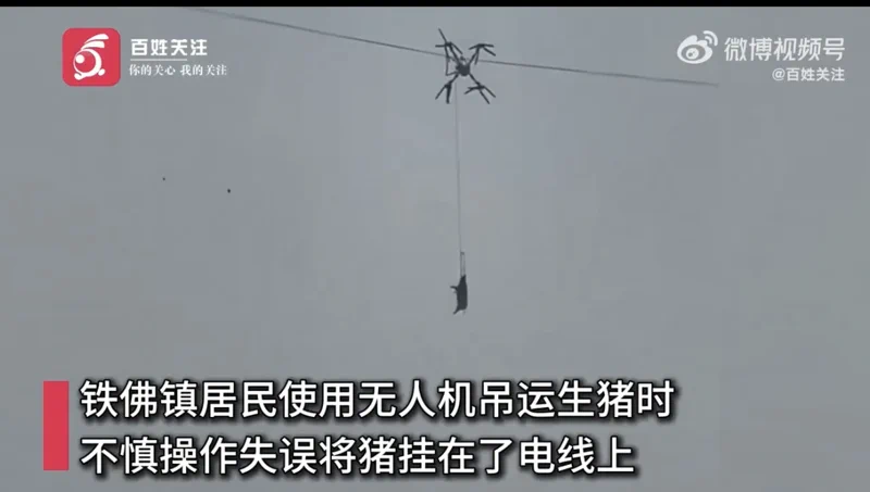 四川无人机空运活猪“翻车”:误撞电线导致全村停电10小时