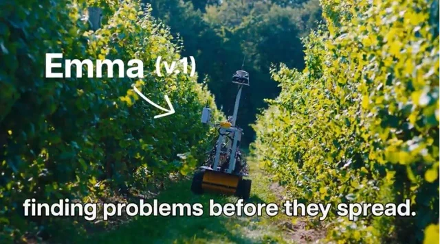 前谷歌工程师打造 Emma 机器人：深入葡萄园猎杀“隐形病毒”