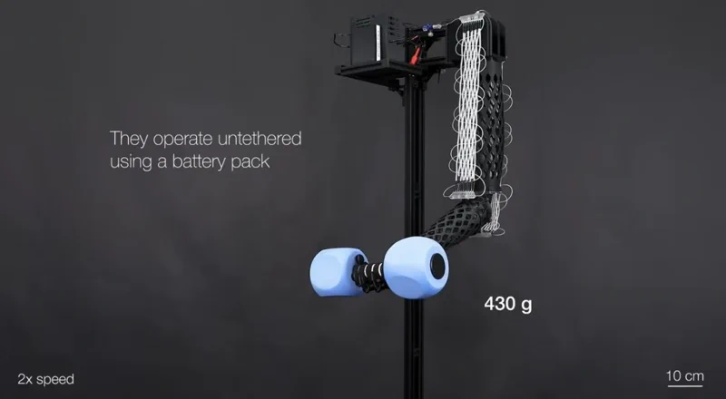 穿在身上的“大力士”：EPFL研发可机洗人工肌肉，负重达自重200倍