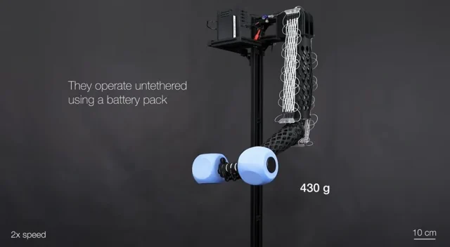 穿在身上的“大力士”：EPFL研发可机洗人工肌肉，负重达自重200倍