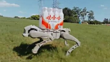 AgiBot推出三款四足机器人