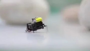 北京研究人员通过昆虫研究打造超快速2厘米微型机器人