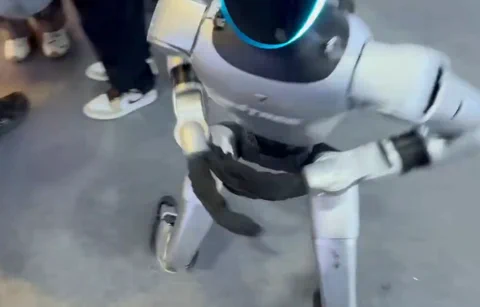 Unitree H1 攻击 Dennis Hong，拒不道歉