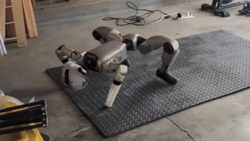 Unitree G1 humanoid 机器人忘了如何走路