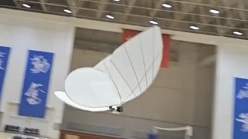 这只仿生蝴蝶逼真得令人不安