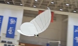 这只仿生蝴蝶逼真得令人不安