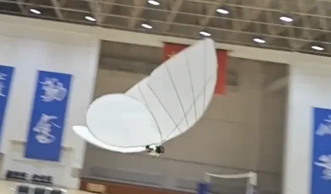 这只仿生蝴蝶逼真得令人不安