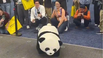 AGIBOT 的熊猫机器人会后空翻。认真的。