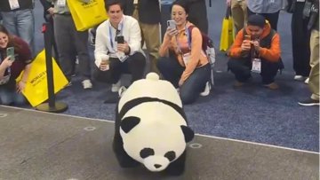 AGIBOT 的熊猫机器人会后空翻。认真的。