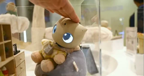 Fourier新桌面机器人：会多国语言的幼儿