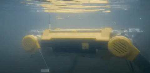 MirrorMe 旗下 Apollo 四足机器人：负重 70 公斤，还能下水游泳