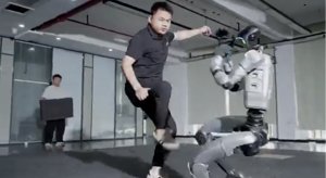 机器人稳定性测试：踢得太过分了吗？